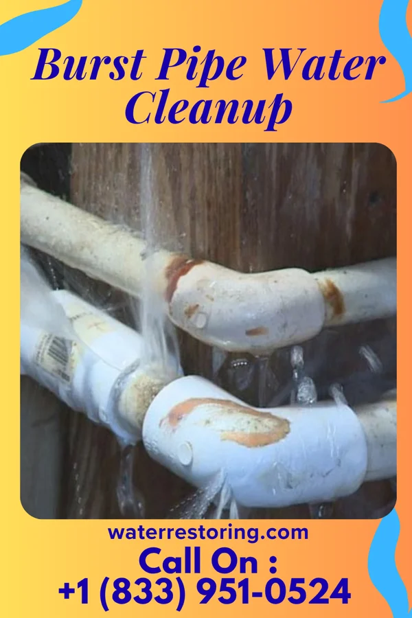 Burst Pipe Water Cleanup in Danbury, IA