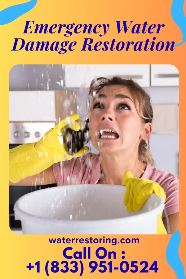 Emergency Water Damage Restoration in Danbury, IA