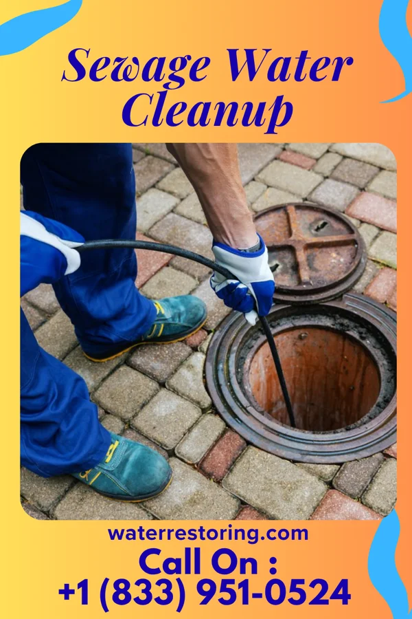 Sewage Water Cleanup in Danbury, IA